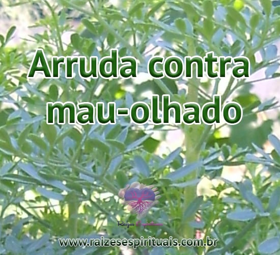 Arruda é uma folha de grande ajuda para equilibrarmos nossas energias e combatermos males que nos impedem de alcançar os objetivos e nossa felicidade.