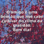Bom dia, amigo