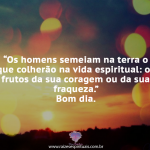 Coragem ou fraqueza