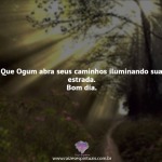Caminhos iluminando