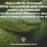 Hoje é o dia de Oxumaré