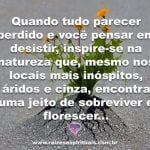 Sejamos fortes como a natureza