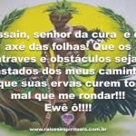 Que Ossaim nos cure com suas folhas sagradas