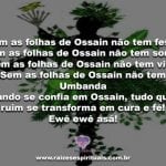 Que as folhas de Ossain nos tragam a cura do corpo e do espírito!