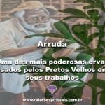 Arruda – uma das mais poderosas ervas usadas pelos Pretos Velhos em seus trabalhos