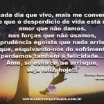 A busca da felicidade deve ocorrer hoje e todos dias, nunca deixe pra amanhã