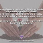 Colhemos aquilo que plantamos. Escolha bem as sementes…