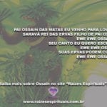 Ewe Ewe Ossain! Suas ervas podem curar, Pai Ossain das matas!