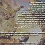 Segunda-feira é de Omulú! Dia de pedir proteção e saúde para todos. Atotô!!!