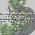 Que Ossain nos dê toda a magia de suas folhas! Ewê Ewê Asà!
