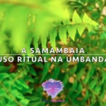 3 rituais poderosos com a Samambaia na Umbanda